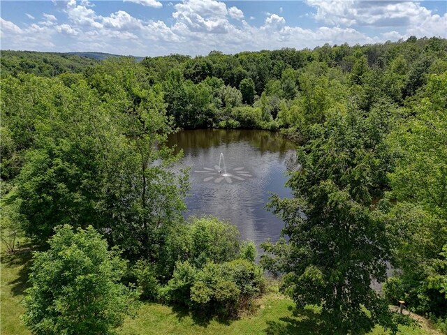 77027650 Faber Rd, Prattsburgh, NY 14873 - photo 36