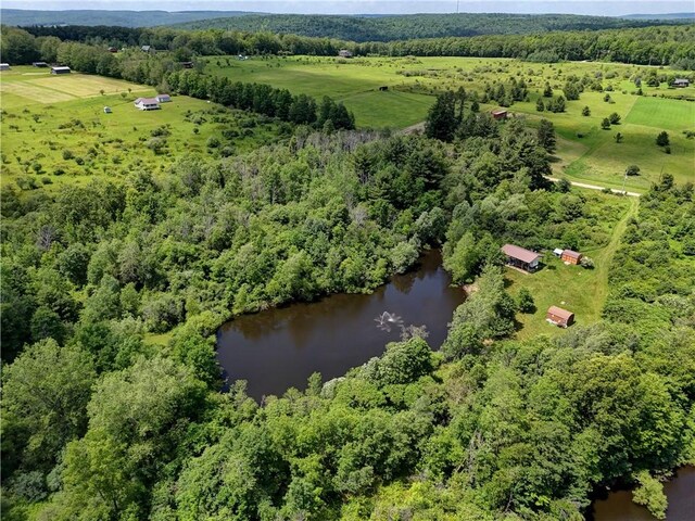 77027650 Faber Rd, Prattsburgh, NY 14873 - photo 37
