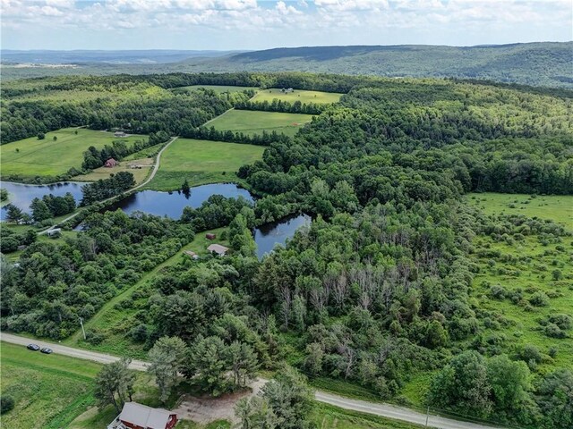 77027650 Faber Rd, Prattsburgh, NY 14873 - photo 38