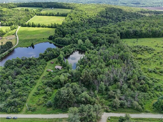 77027650 Faber Rd, Prattsburgh, NY 14873 - photo 39