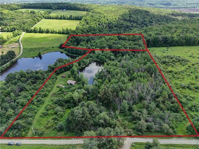77027650 Faber Rd, Prattsburgh, NY 14873 - photo 40