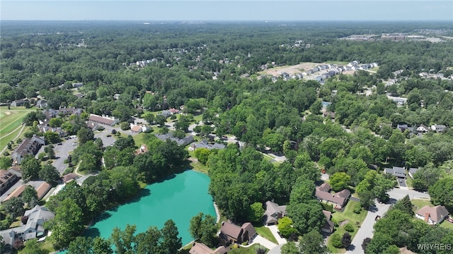 253 Old Oak Post Rd, Amherst, NY 14051 - aerial view of property and surrounding area featuring a large body of water and a forest
