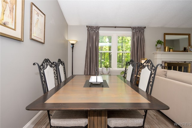 253 Old Oak Post Rd, Amherst, NY 14051 - dining area featuring wood finished floors and a glass covered fireplace