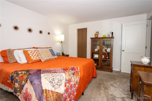 253 Old Oak Post Rd, Amherst, NY 14051 - view of carpeted bedroom