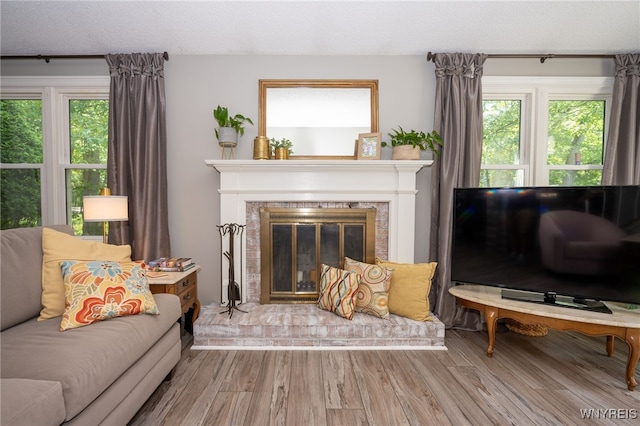 253 Old Oak Post Rd, Amherst, NY 14051 - living area featuring wood finished floors, plenty of natural light, and a fireplace