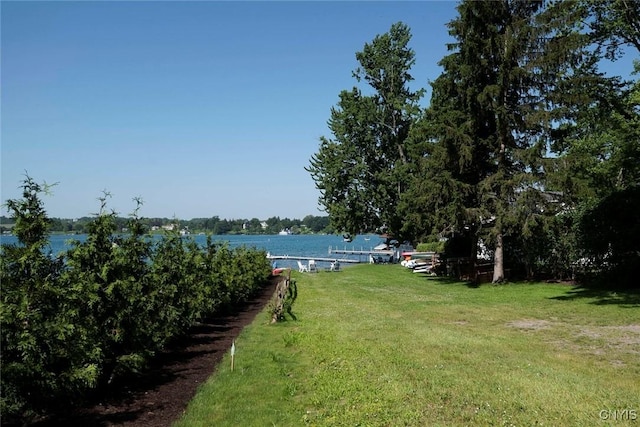 12 Gayle Rd, Skaneateles, NY 13152 - photo 45