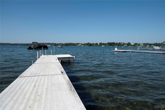 12 Gayle Rd, Skaneateles, NY 13152 - photo 46