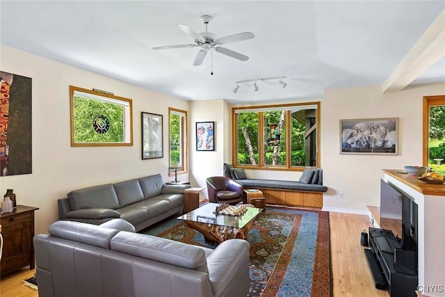 12 Gayle Rd, Skaneateles, NY 13152 - photo 25