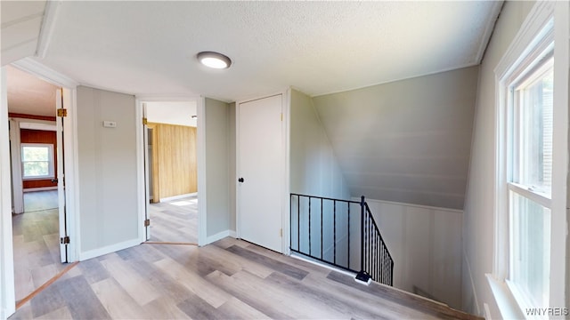 35 Dorris Ave, Buffalo, NY 14215 - photo 29