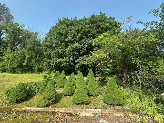 4963 W Lake Rd, Auburn, NY 13021 - photo 6
