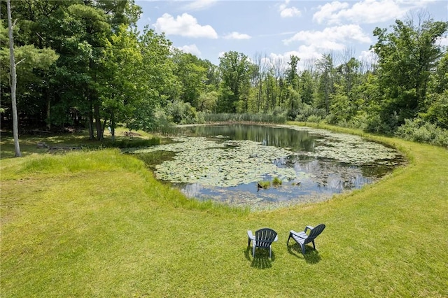 597 Ridge Rd, Vestal, NY 13850 - photo 3