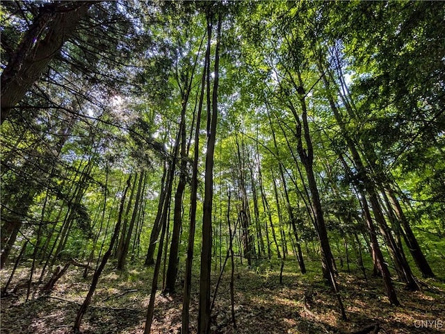 0 Indian Riv, Theresa, NY 13691 - photo 2