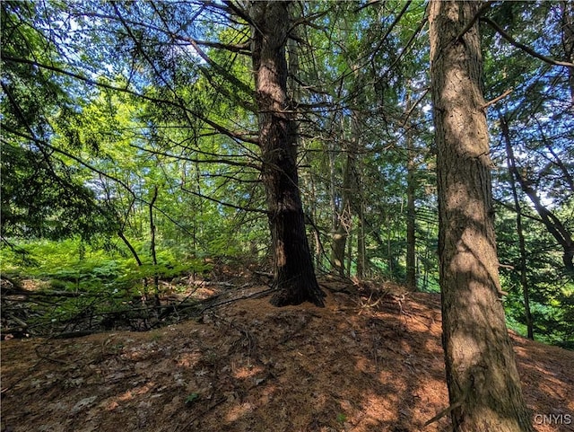 0 Indian Riv, Theresa, NY 13691 - photo 4