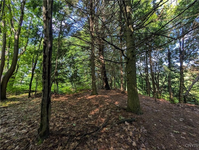 0 Indian Riv, Theresa, NY 13691 - photo 5