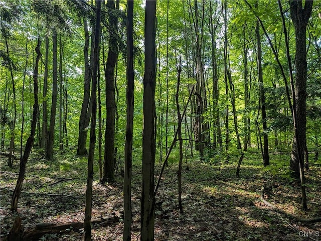 0 Indian Riv, Theresa, NY 13691 - photo 6