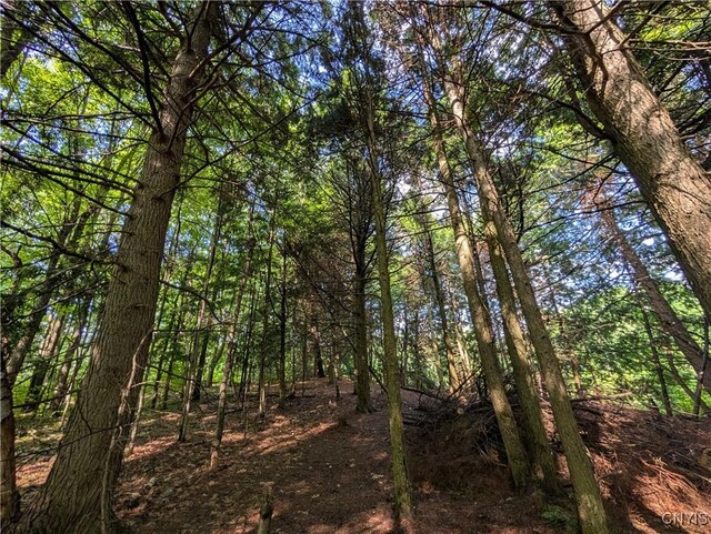 0 Indian Riv, Theresa, NY 13691 - photo 8