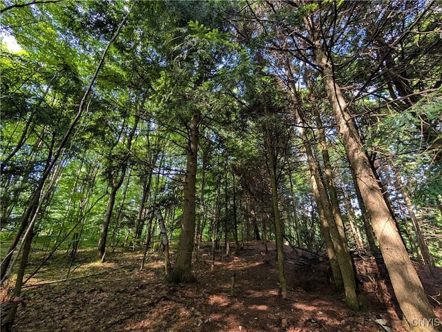 0 Indian Riv, Theresa, NY 13691 - photo 9