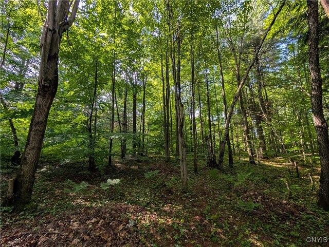 0 Indian Riv, Theresa, NY 13691 - photo 10