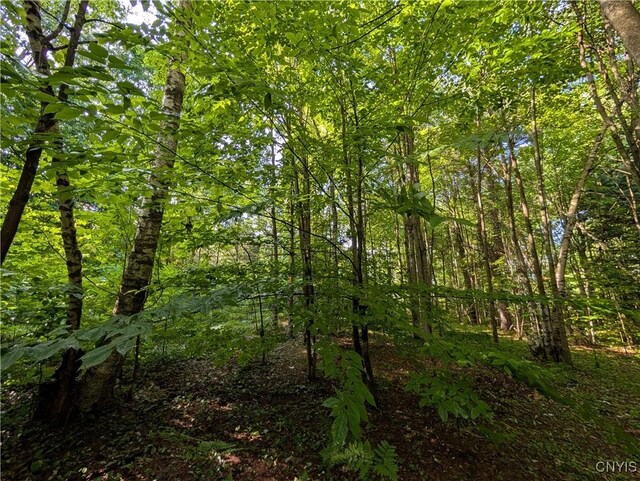 0 Indian Riv, Theresa, NY 13691 - photo 11