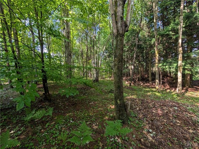 0 Indian Riv, Theresa, NY 13691 - photo 12