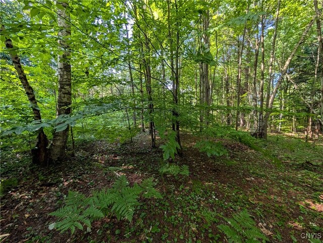 0 Indian Riv, Theresa, NY 13691 - photo 13