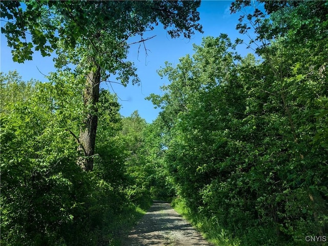0 Indian Riv, Theresa, NY 13691 - photo 14