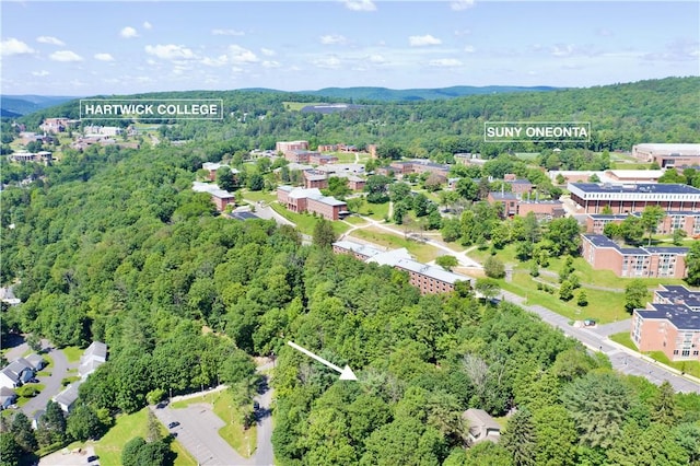 2 Lincoln St, Oneonta, NY 13820 - photo 3