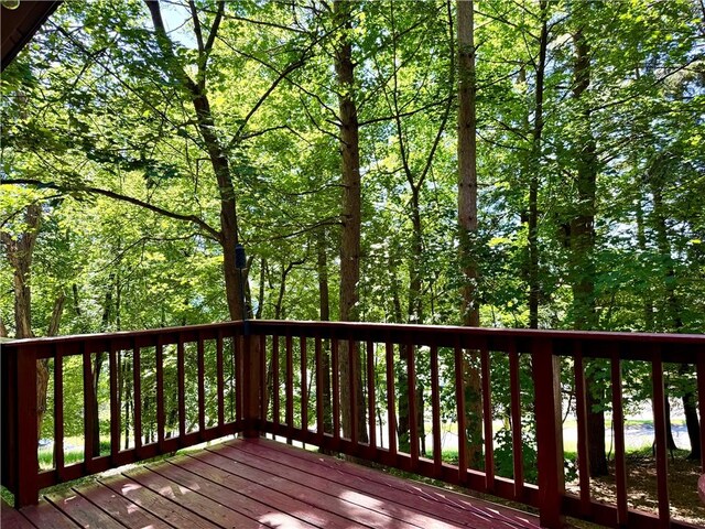 2 Lincoln St, Oneonta, NY 13820 - photo 16