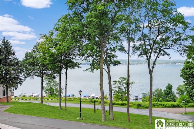 C4 Oneida Dr, Chautauqua, NY 14728 - water view