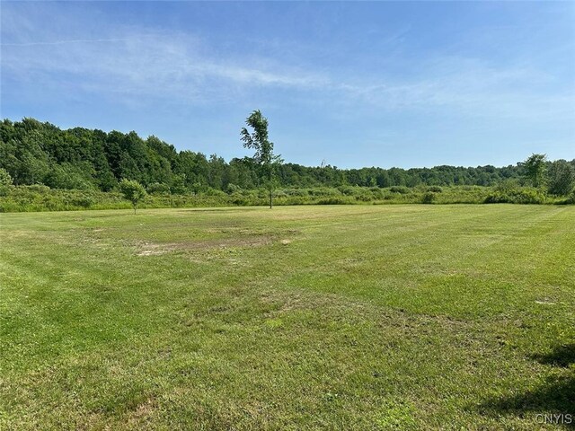 402 Mill St, Theresa, NY 13691 - photo 41