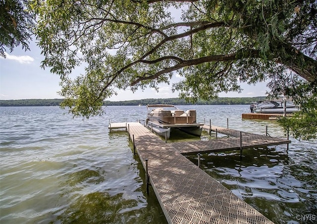 4790 E Lake Rd, Cazenovia, NY 13035 - dock with a water view