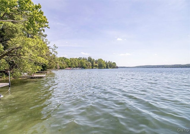 4790 E Lake Rd, Cazenovia, NY 13035 - water view