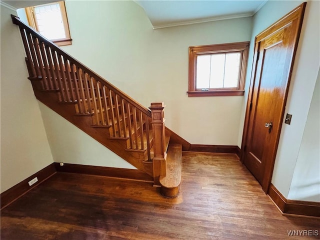 39 Chestnut St, Persia, NY 14070 - entryway featuring wood finished floors, ornamental molding, and stairway