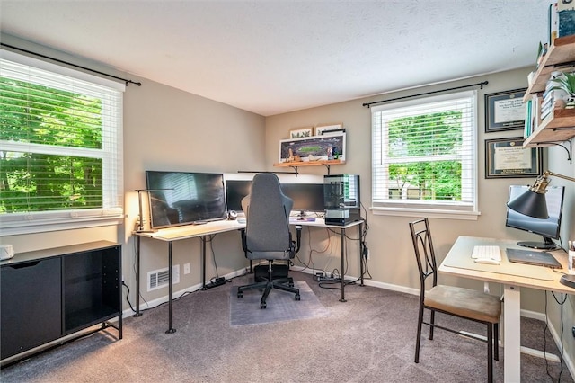 3389 Orchid Cres, Walworth, NY 14568 - carpeted office with baseboards