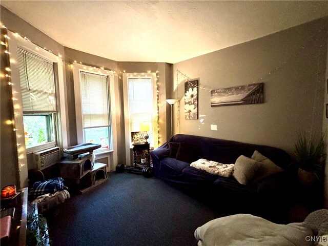 31 Washington St, Auburn, NY 13021 - photo 8