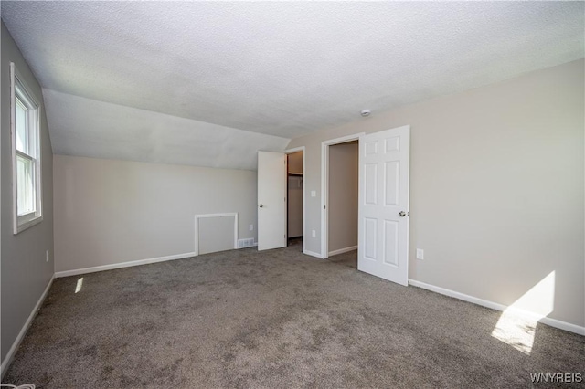 261 Ehinger Dr, West Seneca, NY 14224 - additional living space with vaulted ceiling, carpet flooring, and a textured ceiling
