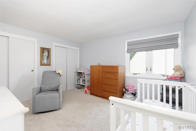 89 Rambling Rd, Amherst, NY 14051 - bedroom featuring multiple closets and carpet flooring