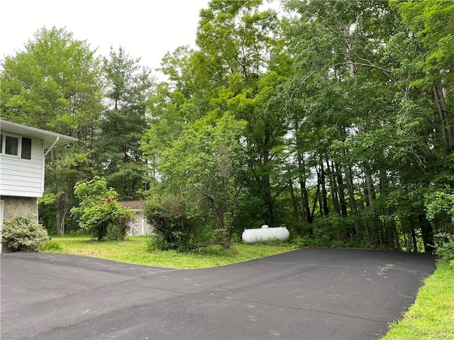 2115 Hornby Rd, Orange, NY 14812 - view of asphalt driveway