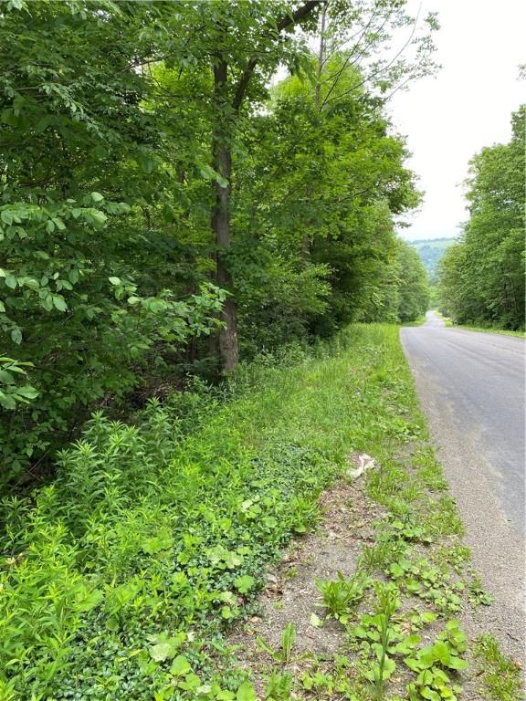 2115 Hornby Rd, Orange, NY 14812 - view of asphalt street