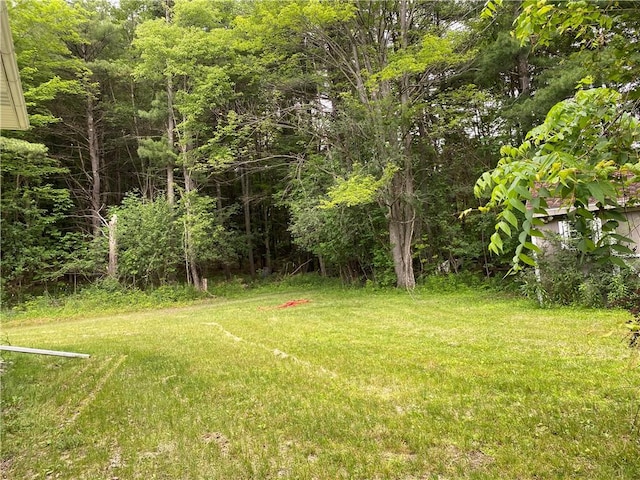 2115 Hornby Rd, Orange, NY 14812 - view of green lawn with a view of trees