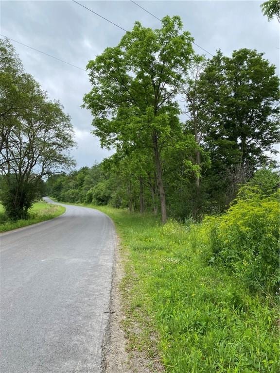 2115 Hornby Rd, Orange, NY 14812 - view of asphalt street