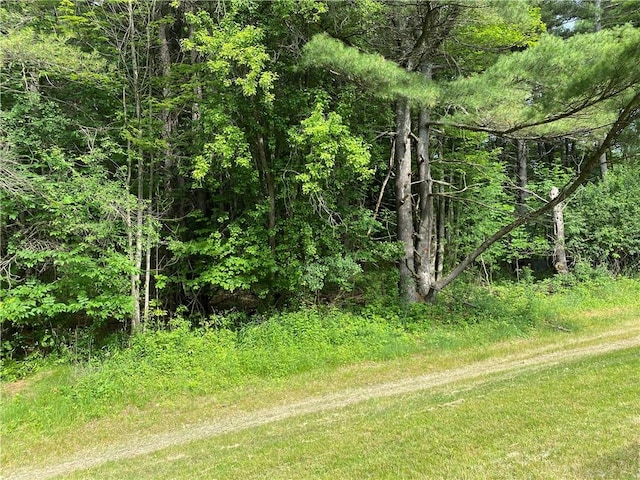 2115 Hornby Rd, Orange, NY 14812 - view of road with a view of trees