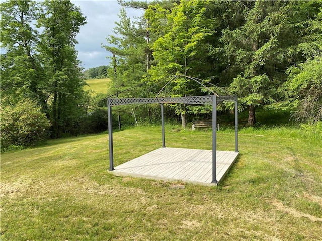 2115 Hornby Rd, Orange, NY 14812 - view of green lawn
