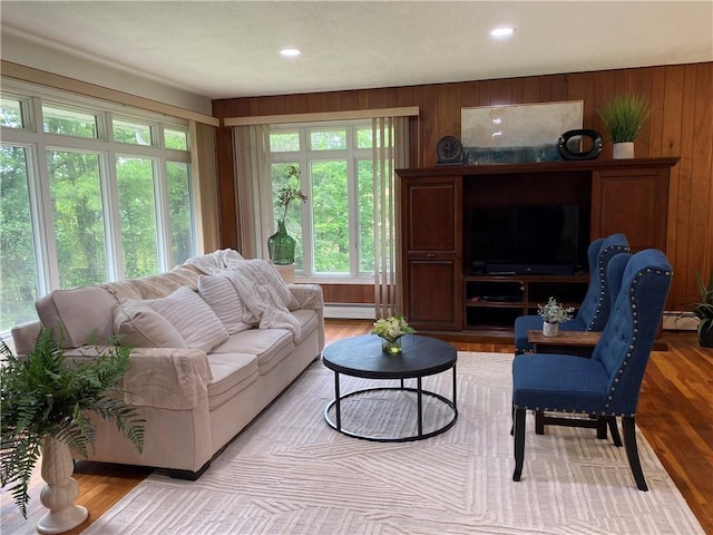 2115 Hornby Rd, Orange, NY 14812 - living area with wooden walls, light wood-type flooring, recessed lighting, and a baseboard heating unit