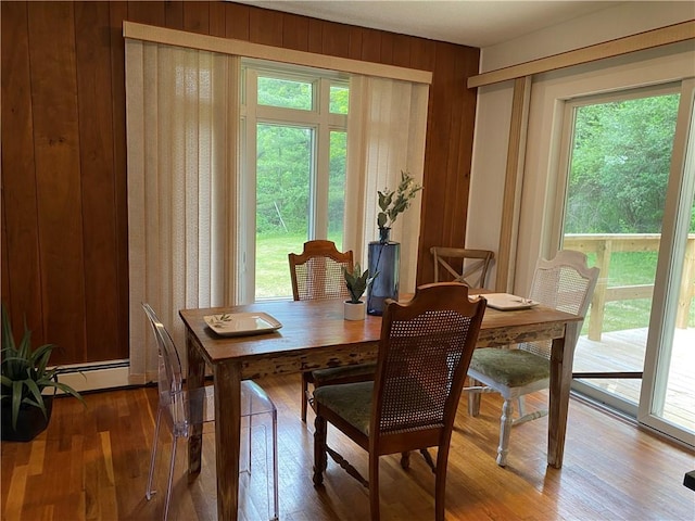 2115 Hornby Rd, Orange, NY 14812 - dining area with plenty of natural light, wood walls, and wood finished floors