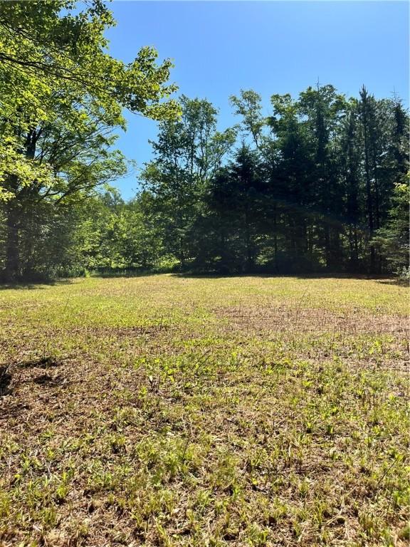 2865 Steam Mill Rd, Masonville, NY 13804 - photo 19