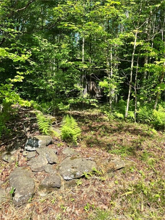 2865 Steam Mill Rd, Masonville, NY 13804 - photo 20