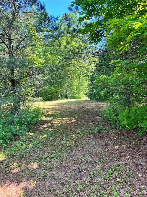 2865 Steam Mill Rd, Masonville, NY 13804 - photo 22