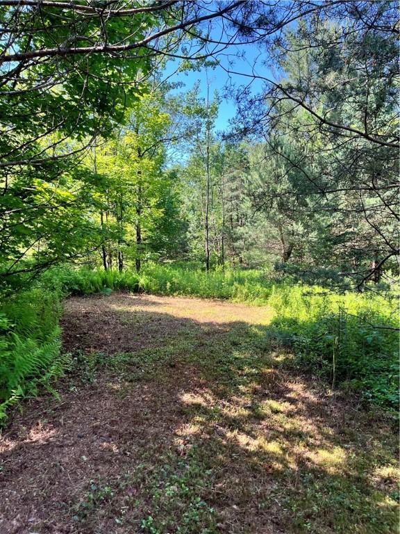 2865 Steam Mill Rd, Masonville, NY 13804 - photo 24
