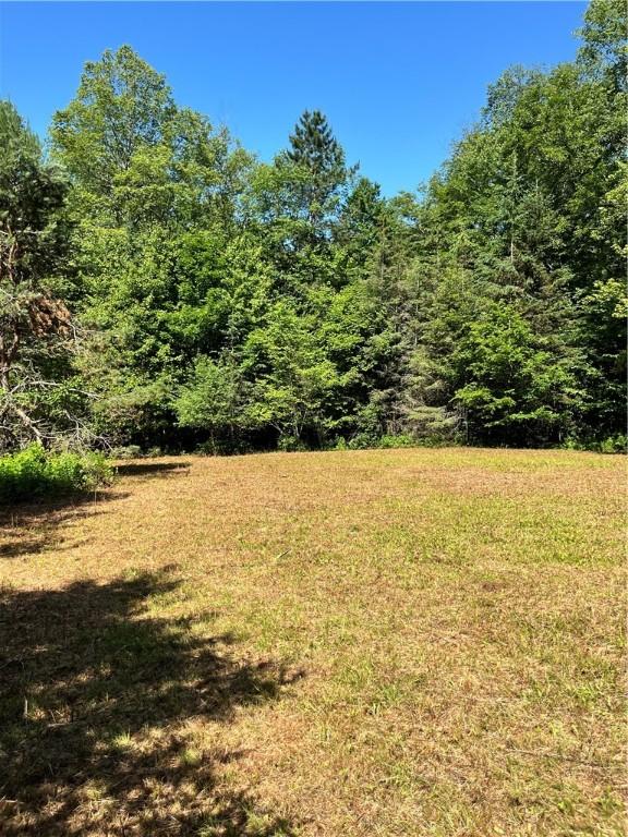 2865 Steam Mill Rd, Masonville, NY 13804 - photo 21